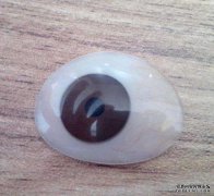 <b>哪些材質(zhì)可以制作義眼片？</b>